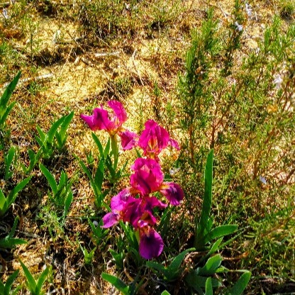 Photo de Jean BERTRAND